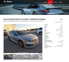 Load image into Gallery viewer, Car-auction-guide.com VIN Hide - Remove Vehicle Records Permanently | 12-24h Complete Deletion 24/7